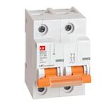 MCB LS 2P 100A 10kA ( BKH )